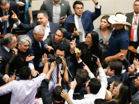 El Senado hunde la Consulta Popular 