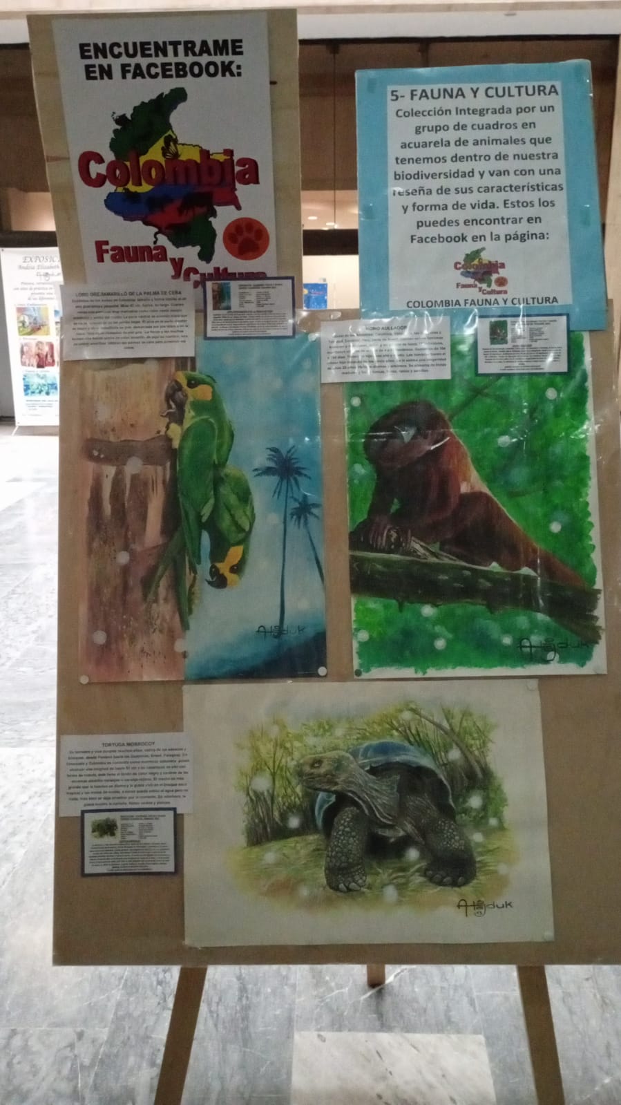 13aeab1e 1958 4b6e 80d5 86377c772819