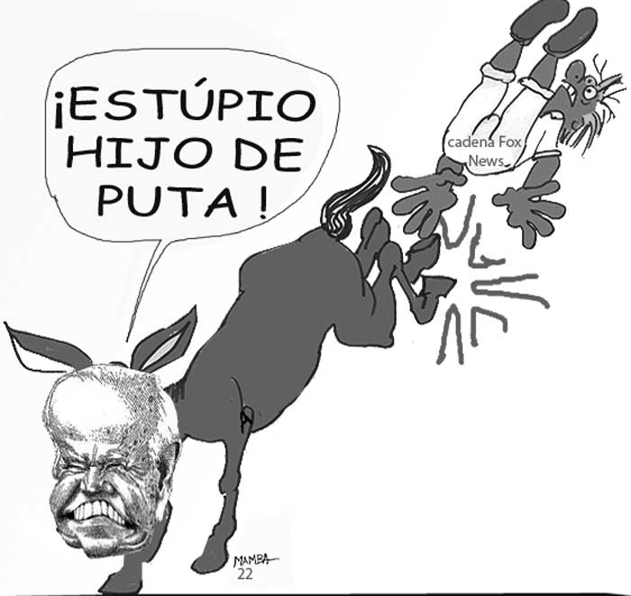 BAIDEN BURRO
