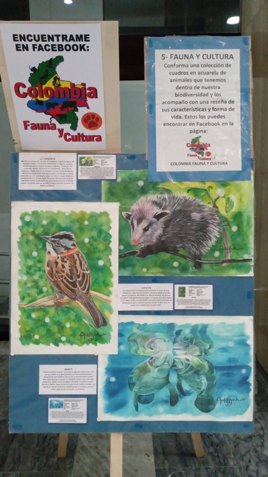 e32a37ca 5aeb 455e ab47 c276e33857ef