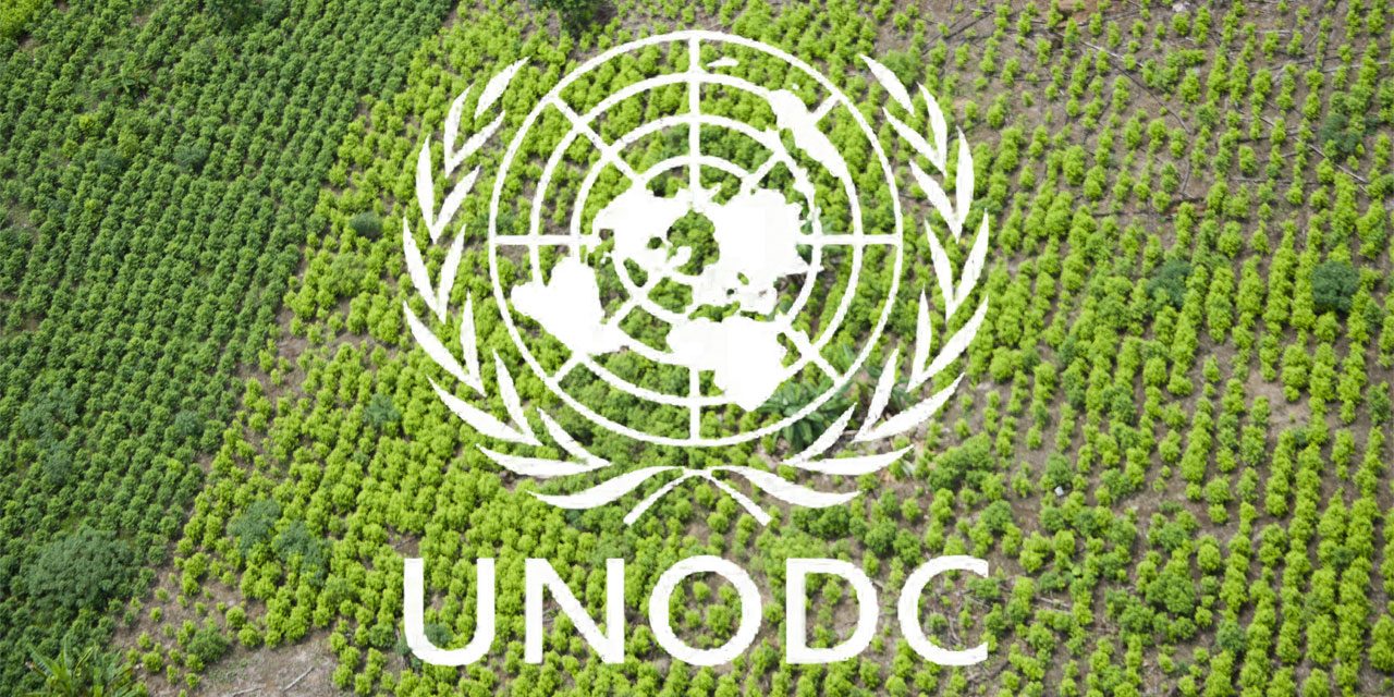 unodc coca 1280x640